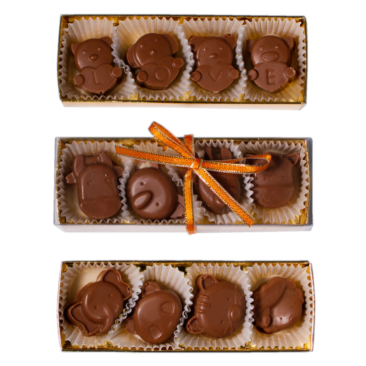 Chocolates for kids 1 packet (4 pcs)